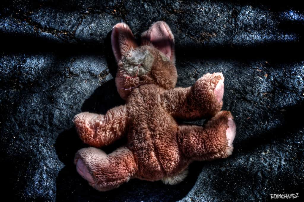 Daily Photo-Bunny’s Never Win