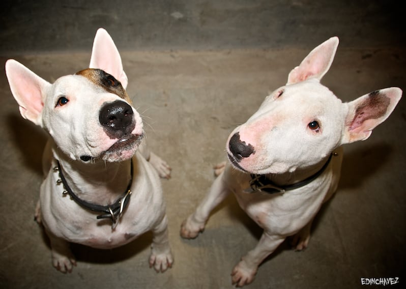 Daily Photo-Shatanky