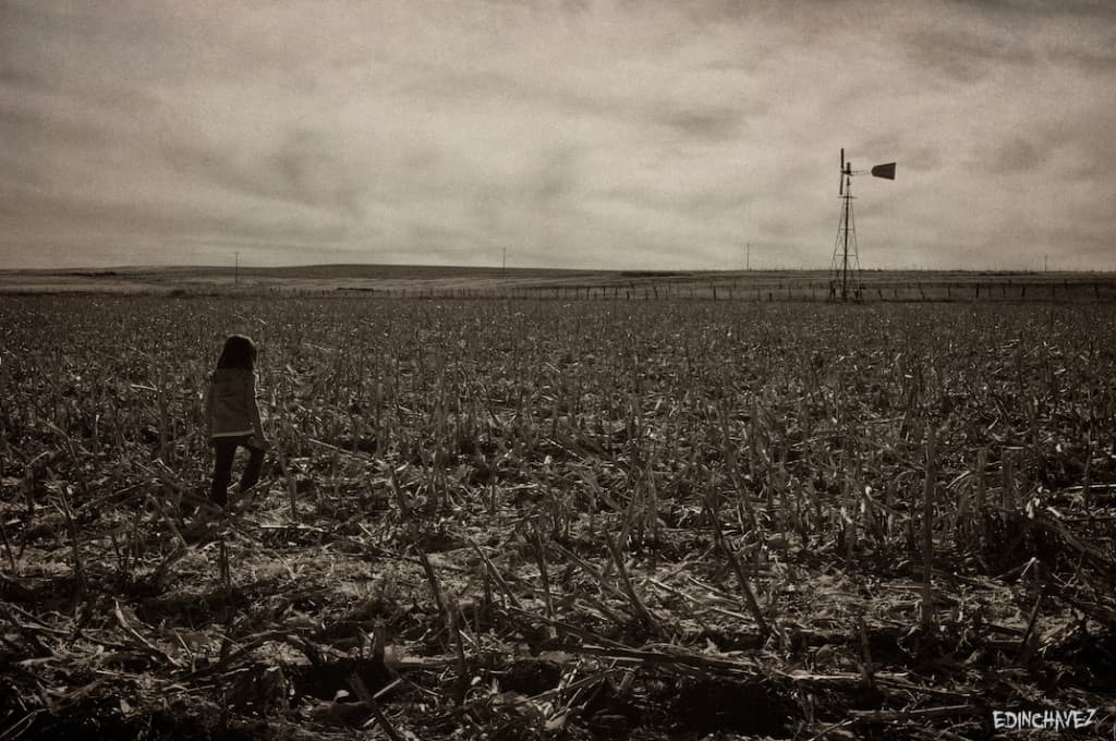 Daily Photo-Field Of Dreams