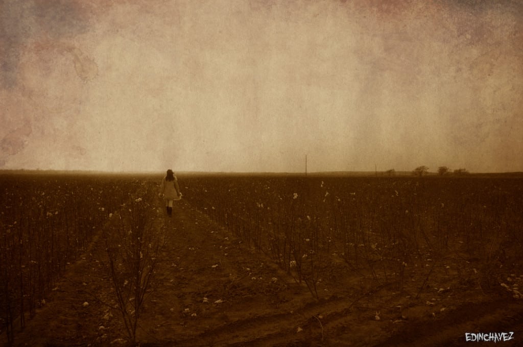 Daily Photo-Into The Sun