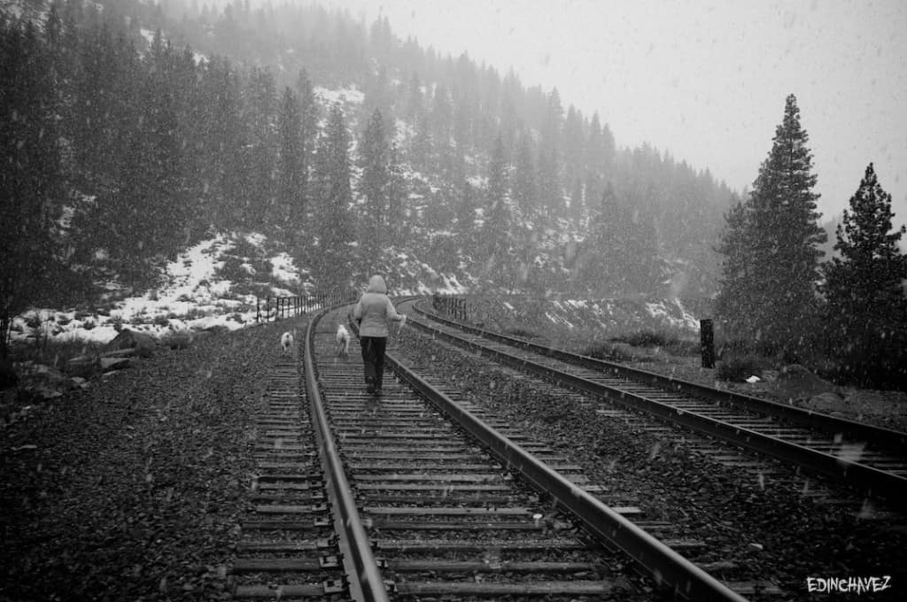 Daily Photo-Snowfall