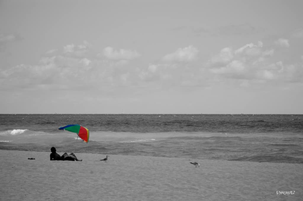 Daily Photo-The good life