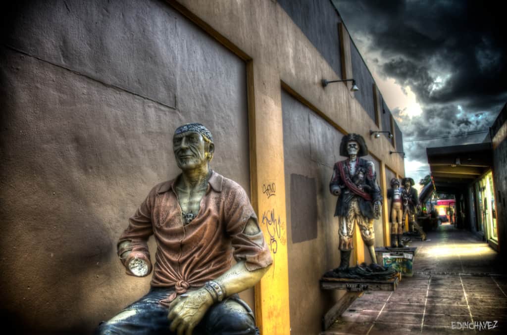 Daily Photo-Arrrrrgh