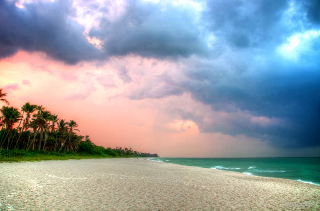 Daily Photo-Rainy Days