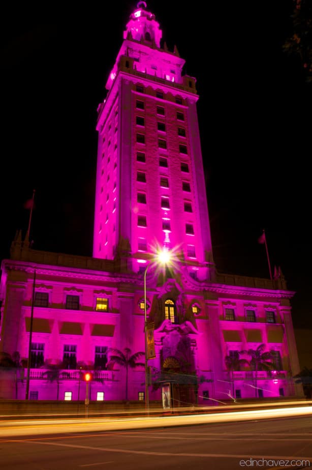Daily Photo-Dressed in Pink
