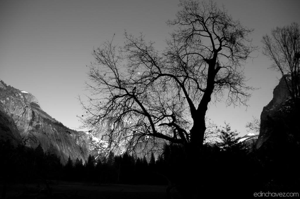 Daily Photo-The Moon over the Dome