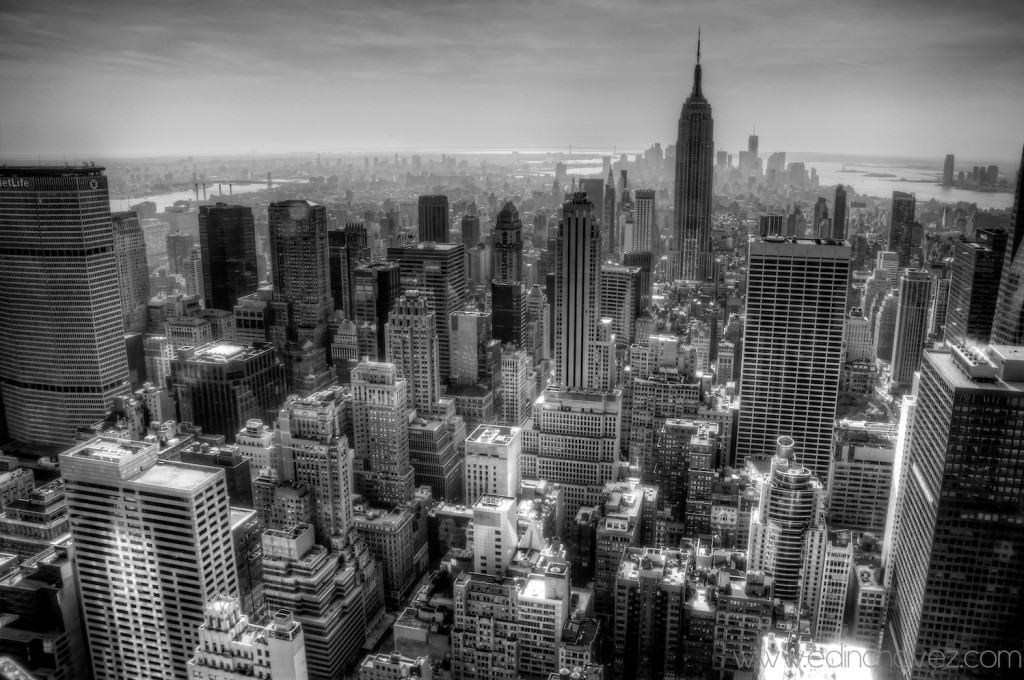 Shot of the Day-City Jungle