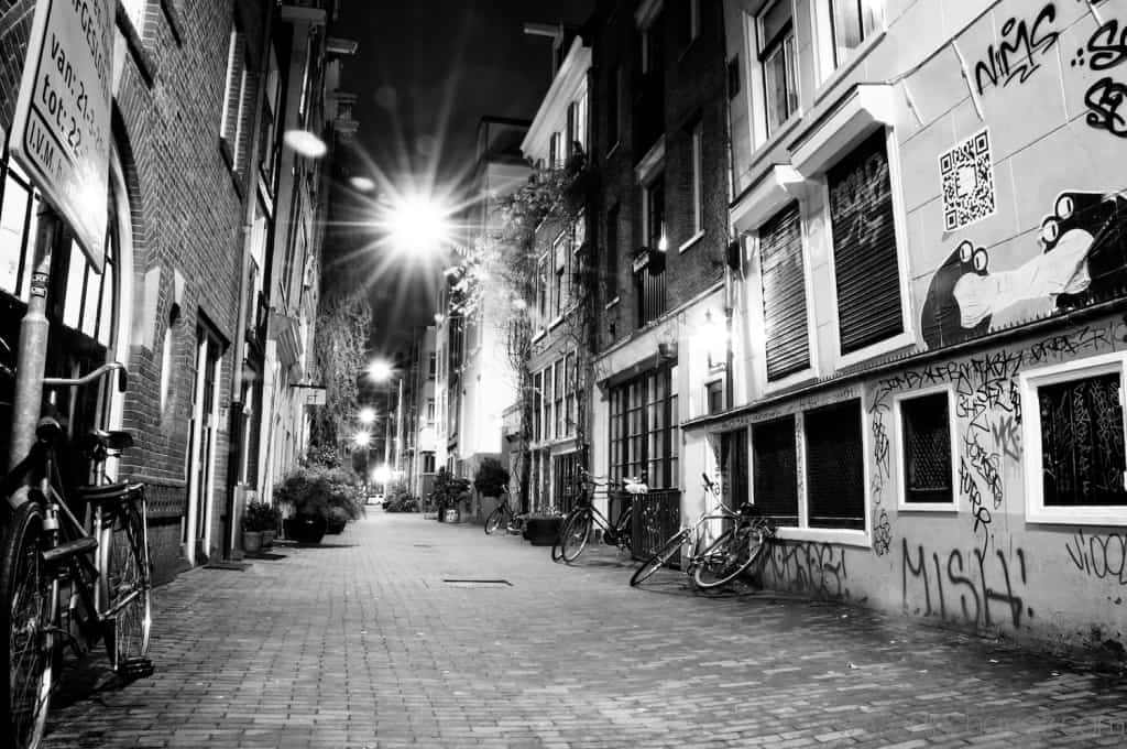 Shot of the Day-Nims