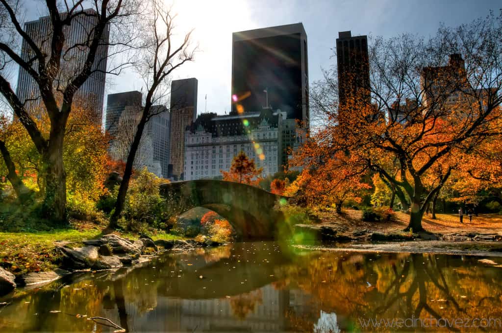 Shot of the Day-Park Central