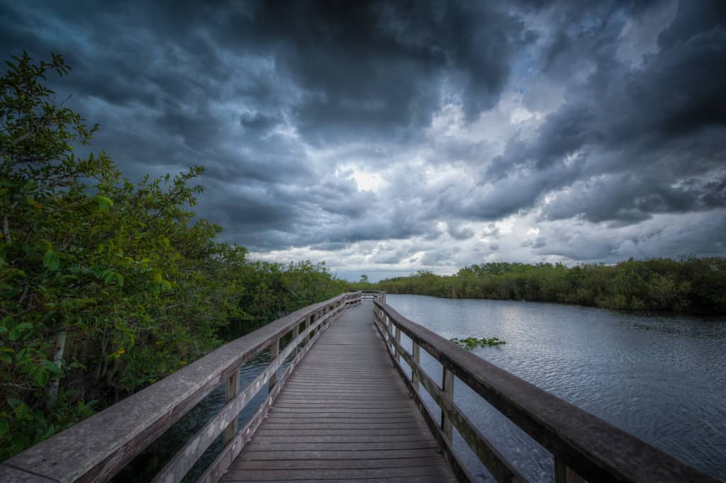 Storm at the Everglades