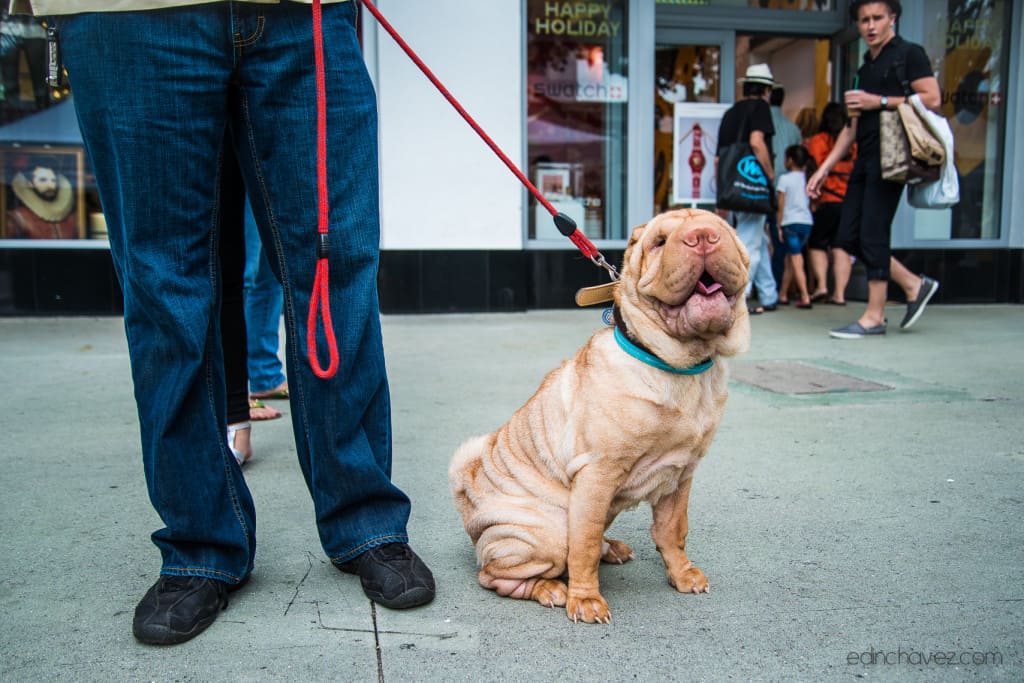30 days of street photography day 26