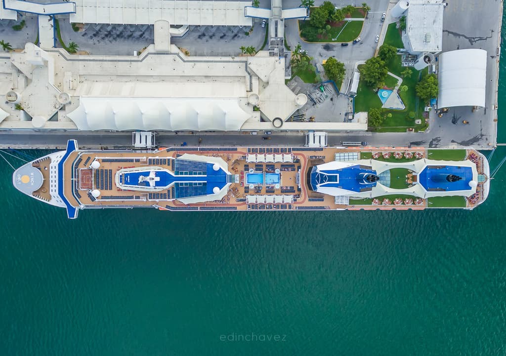 Celebrity Reflection