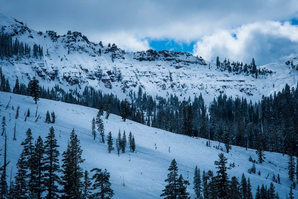 DSC_1427