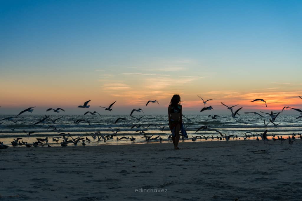 Shell Key St Pete Beach Florida