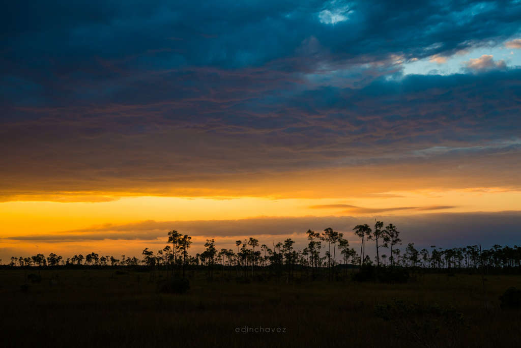 Everglades (603 of 711)-10