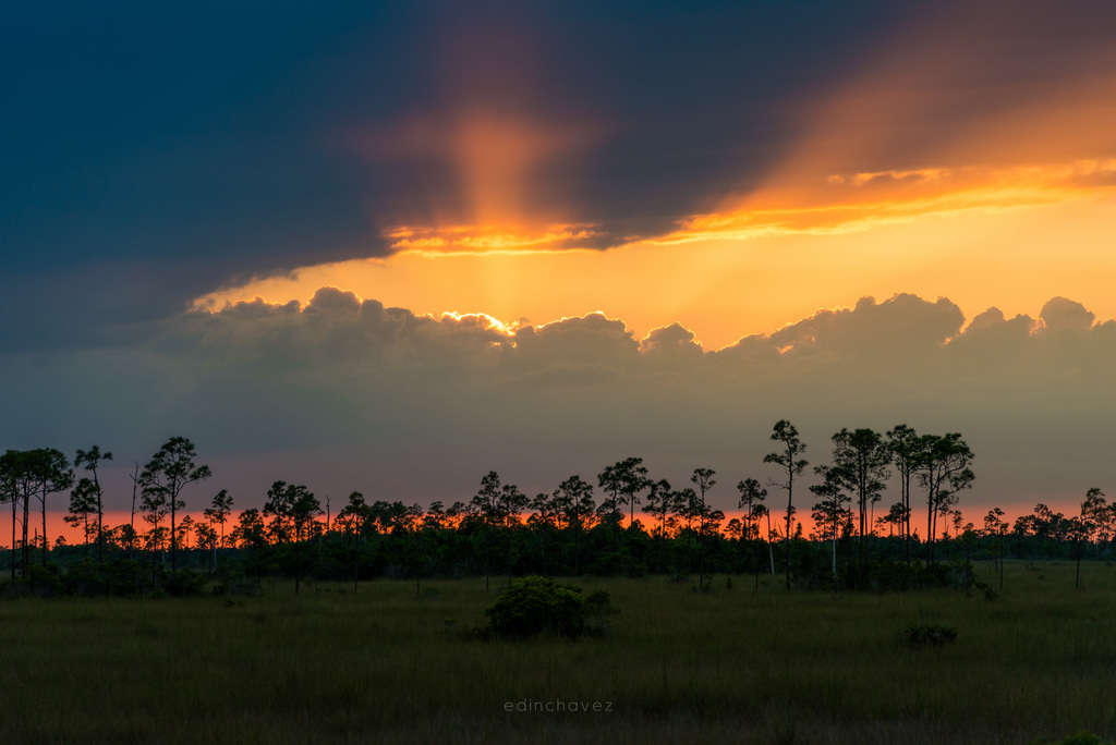 Everglades (641 of 711)-9
