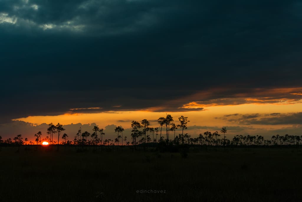 Everglades (672 of 711)-7