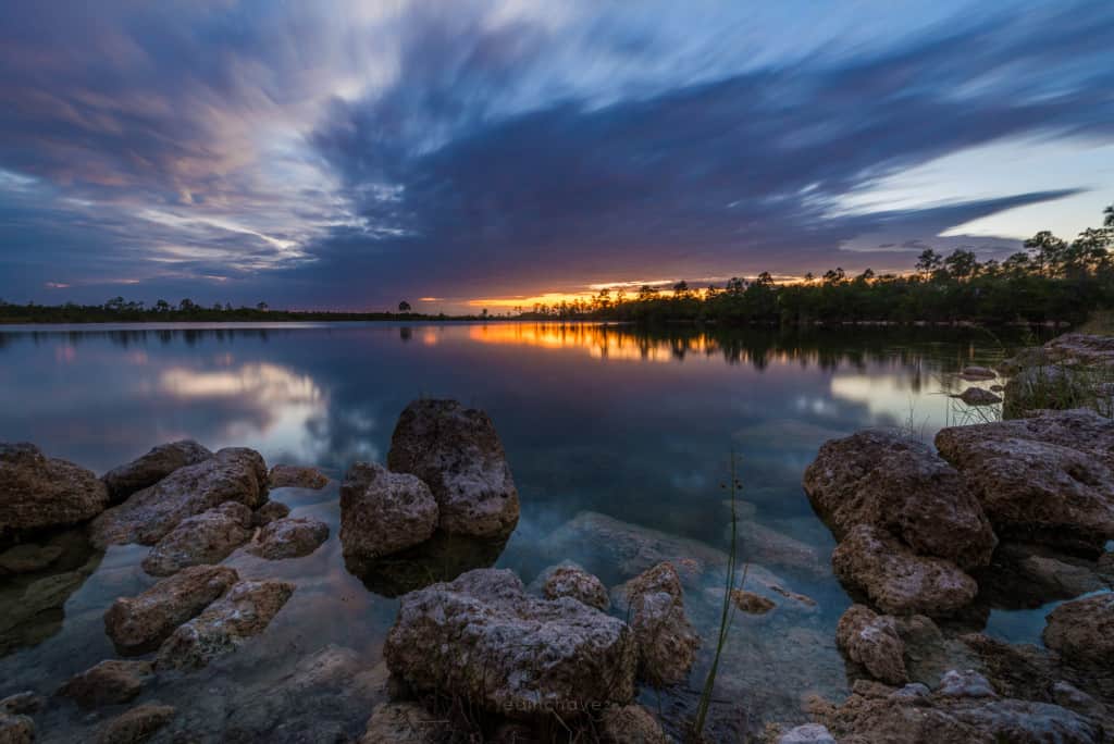 CAPTURE THE EVERGLADES AN INCREDIBLE JOURNEY