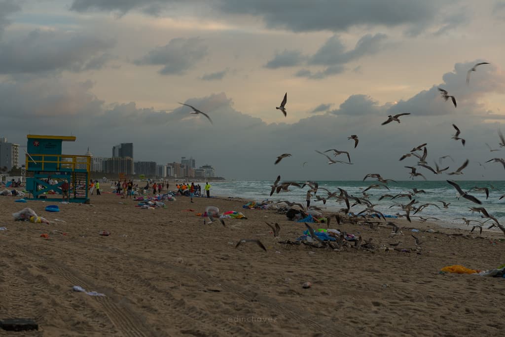 Miami Beach Trash (67 of 238)