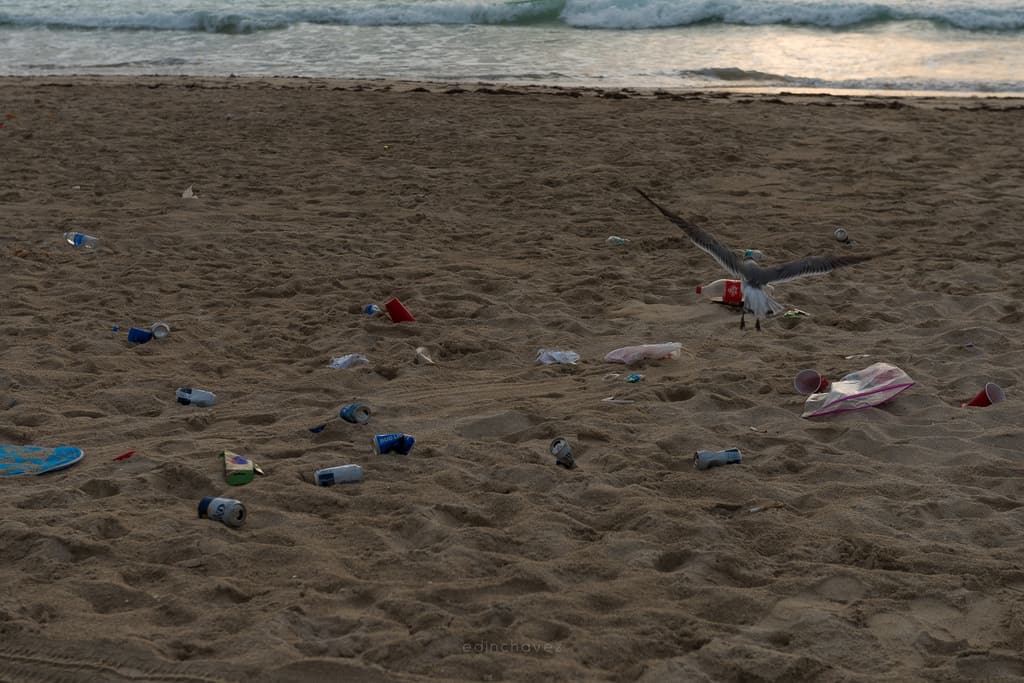 Miami Beach Trash (76 of 238)