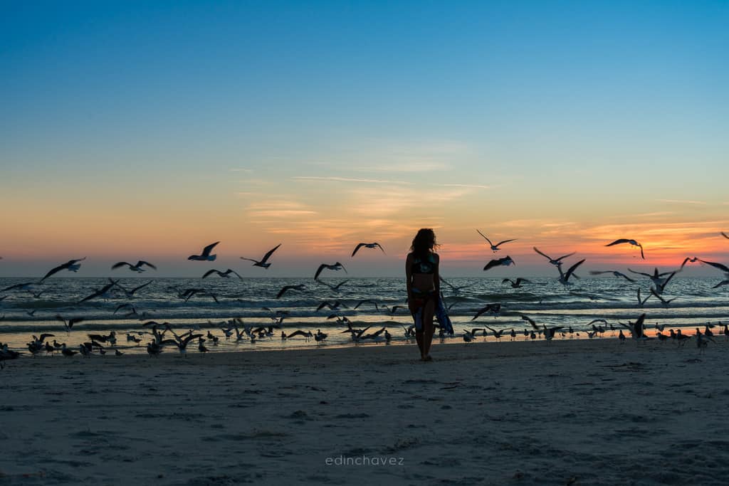 A beachgoer silhouetted against sunrise as gulls fly over Miami Beach