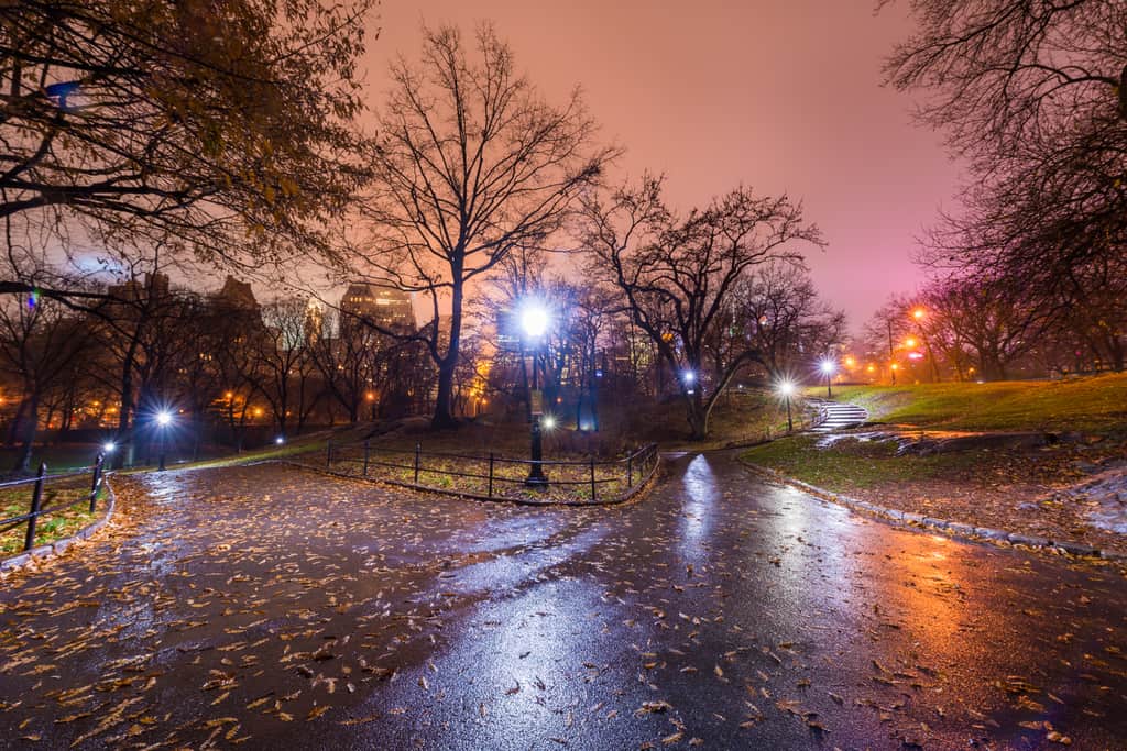 Central Park photographed on a very cold rainy night