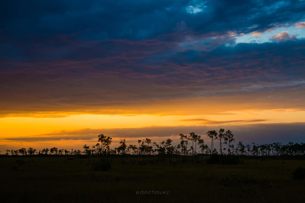 everglades-603-of-711-1