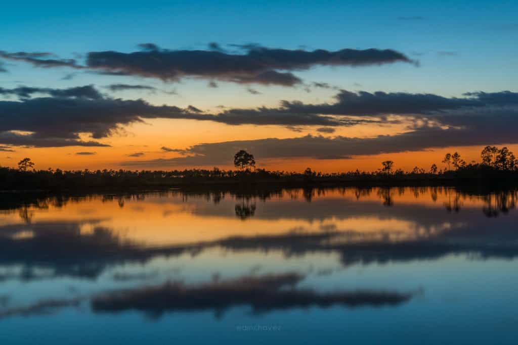 Everglades Reflections