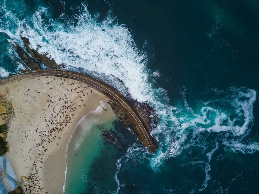 Children’s Pool La Jolla San Diego
