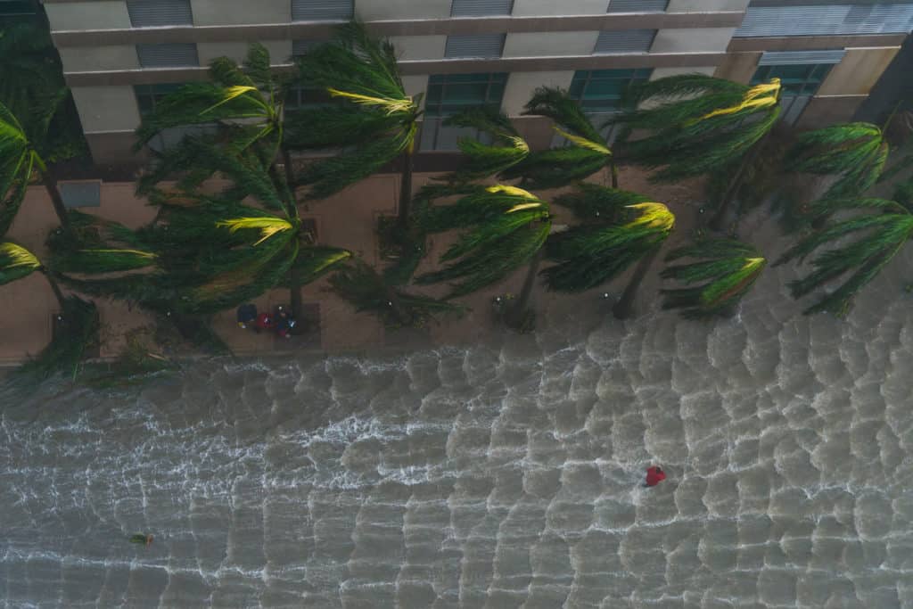 Photos of Hurricane Irma