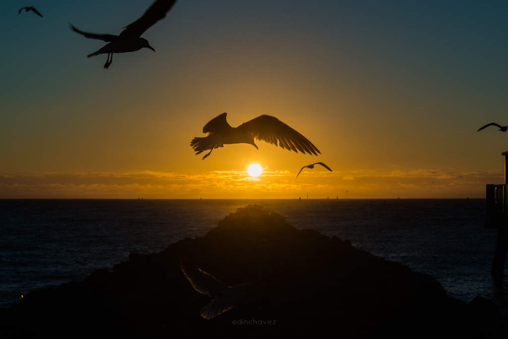 Sunrise photography