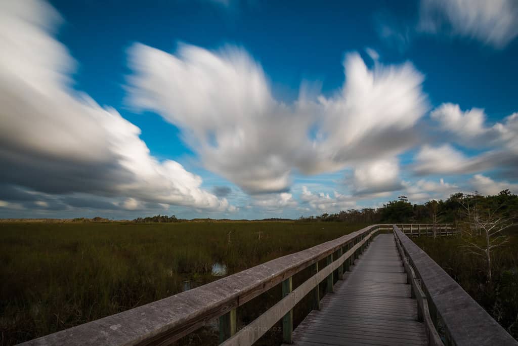 Best Everglades National Park Photography Spots
