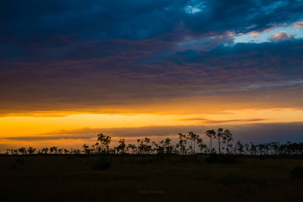 Best Everglades National Park Photography Spots
