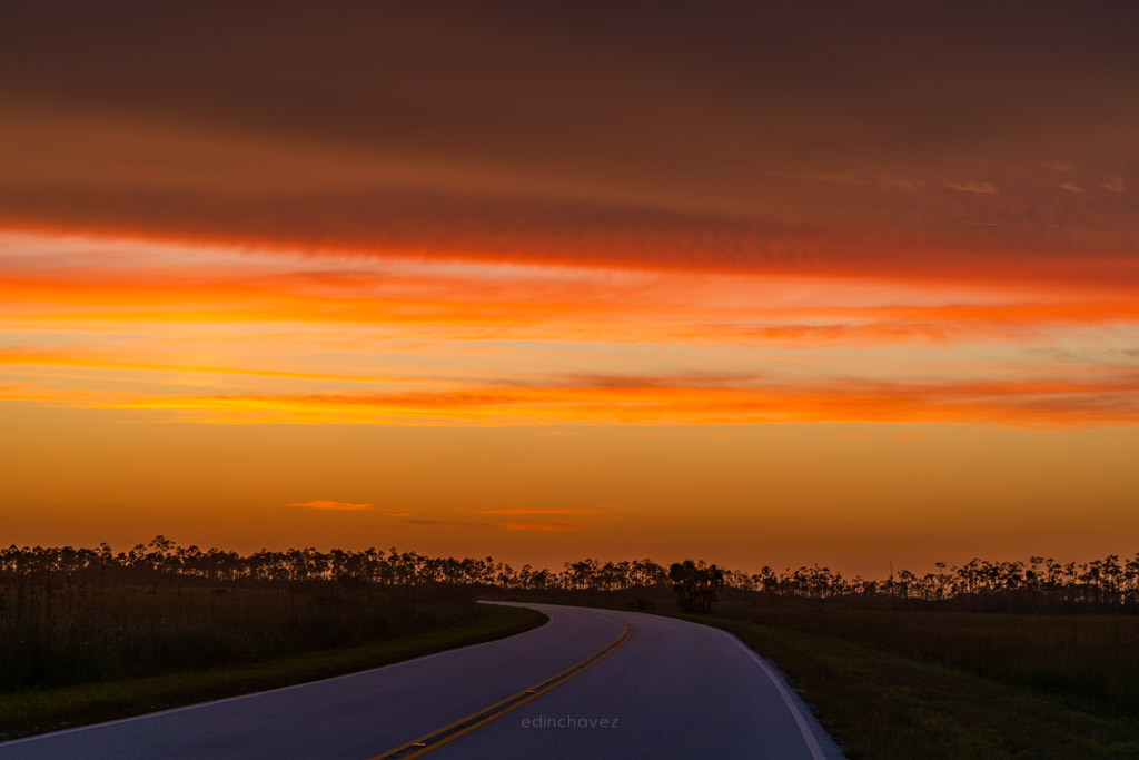 Nikon 24-85 lens Review everglades gear