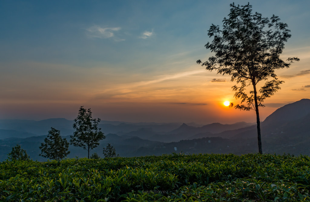 Wayanad mountains sunset best places to photograph in kerala