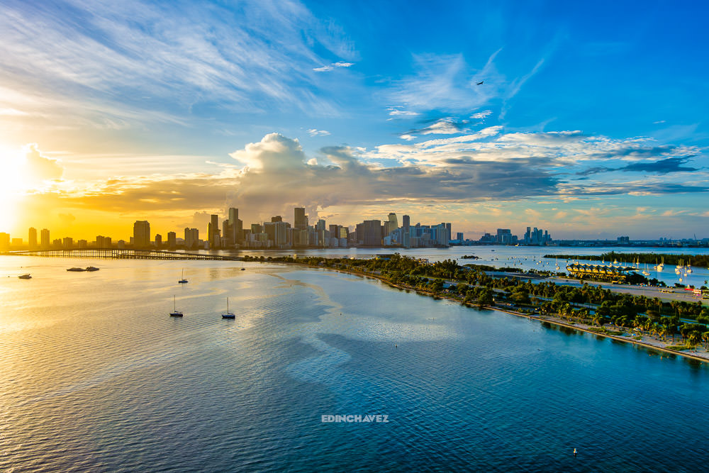 The Majestic Miami Skyline