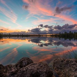 Everglades Sunset — Limited Edition Fine Art Print