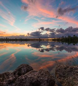 Everglades Photography Guide — Ultimate Location Guide