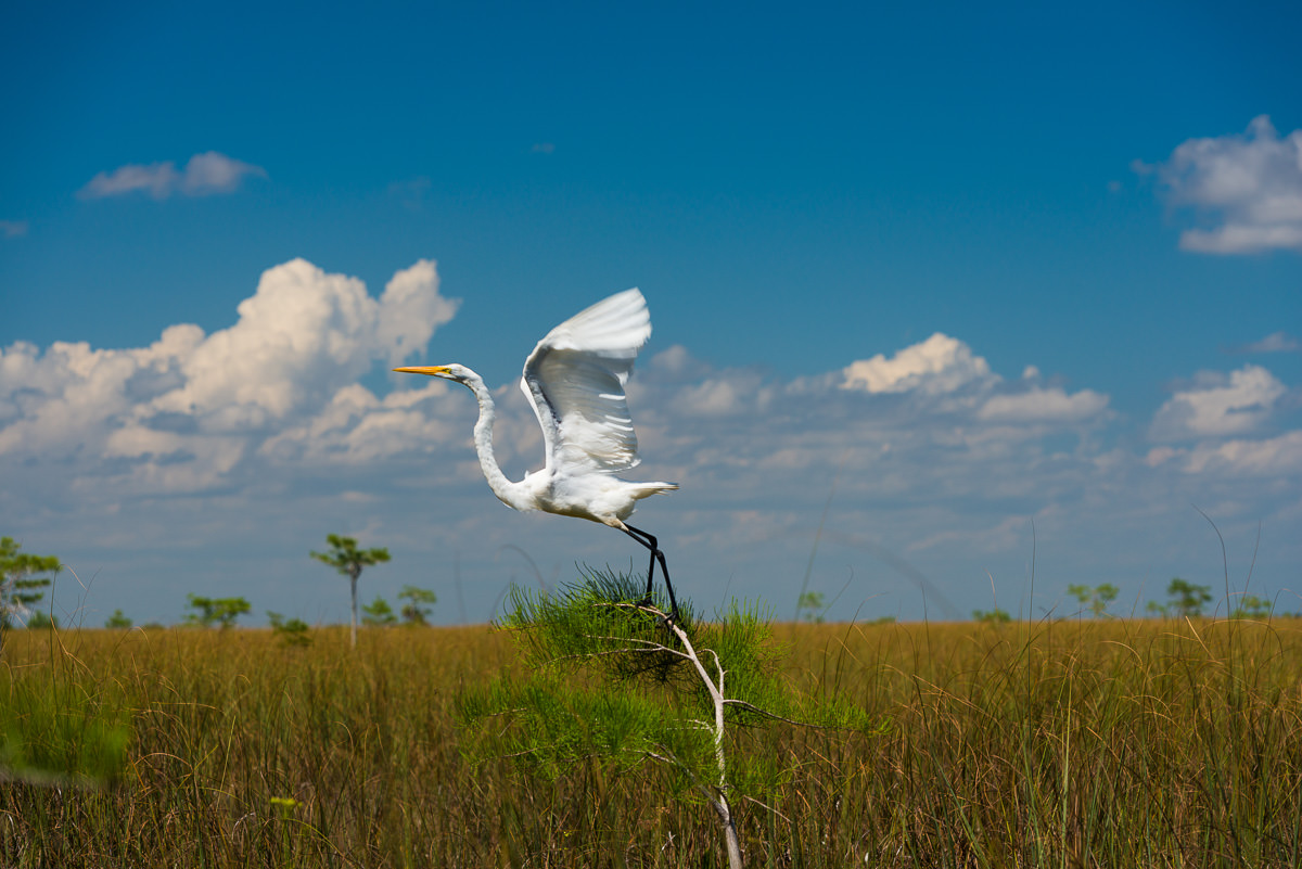 Fine Art Photography Print by Edin Chavez — Landscape & Travel Photography | Available as Limited Edition Archival Print