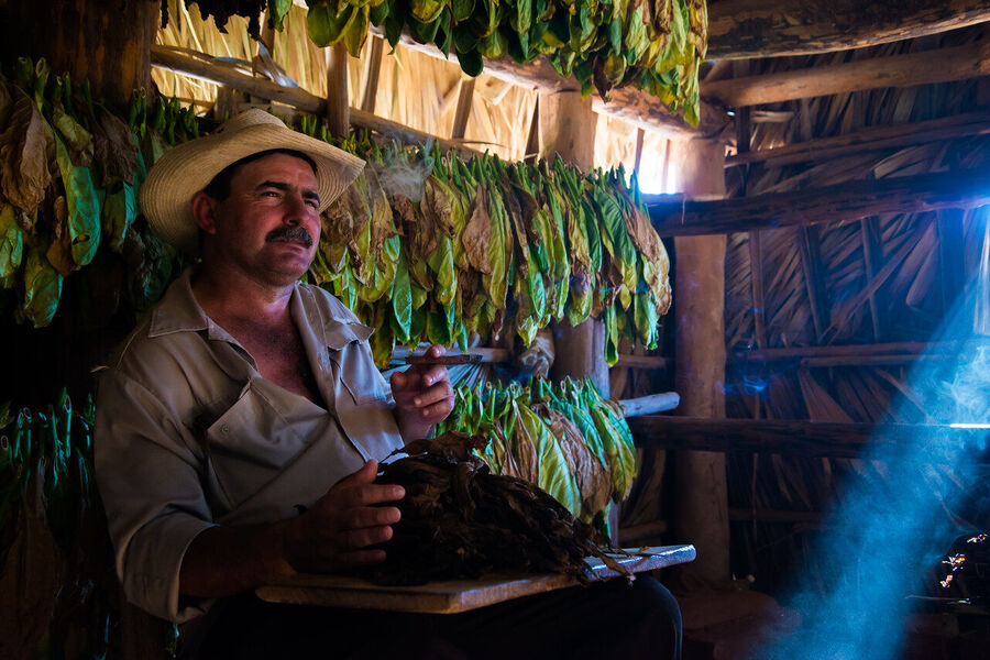 Intimate fine art documentary photograph of a Cuban elder framed in a Havana doorway, warm ambient light revealing every line of a life fully lived