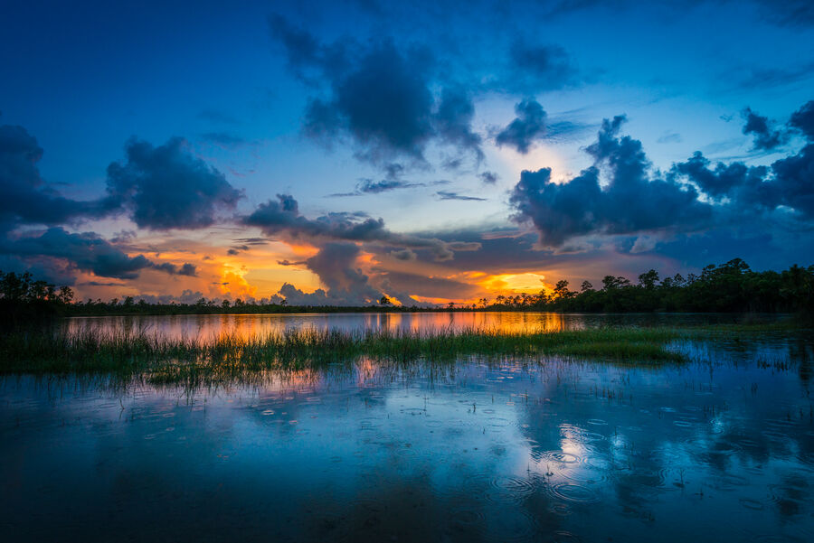 Wide format fine art photograph of Everglades National Park at the blue hour, infinite horizon line separating dark earth from indigo sky