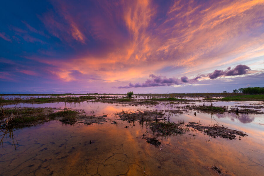 Fine art landscape photograph of Everglades saw grass prairie stretching to the horizon under a towering cumulus sky at pre-dawn