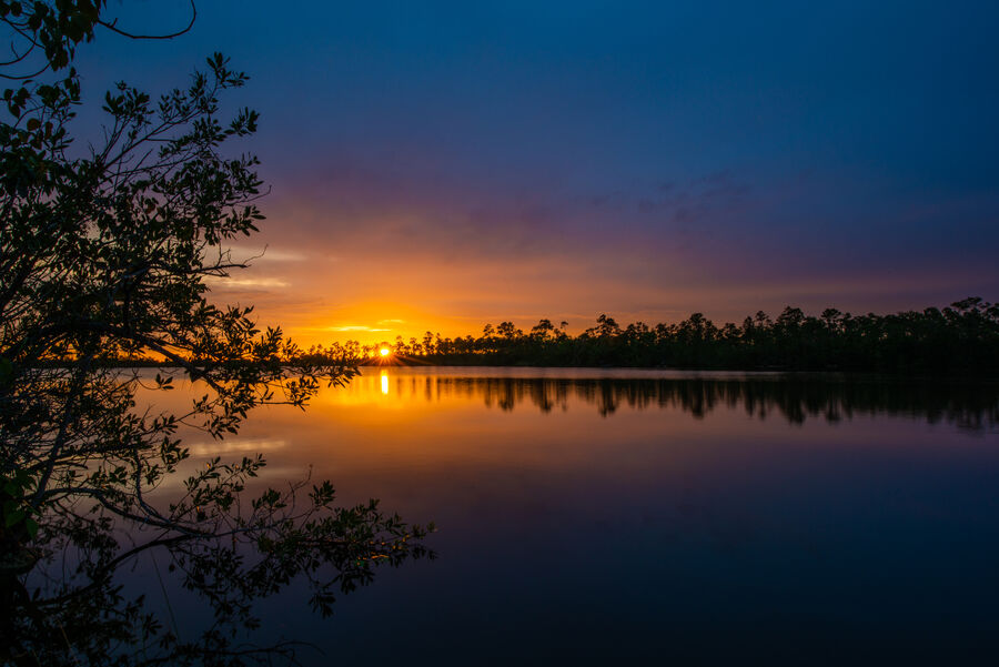 Everglades — Everglades (1 of 37) — Fine Art Photography by Edin Chavez