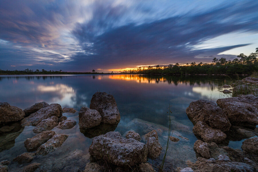 Fine art landscape photograph of Everglades saw grass prairie stretching to the horizon under a towering cumulus sky at pre-dawn