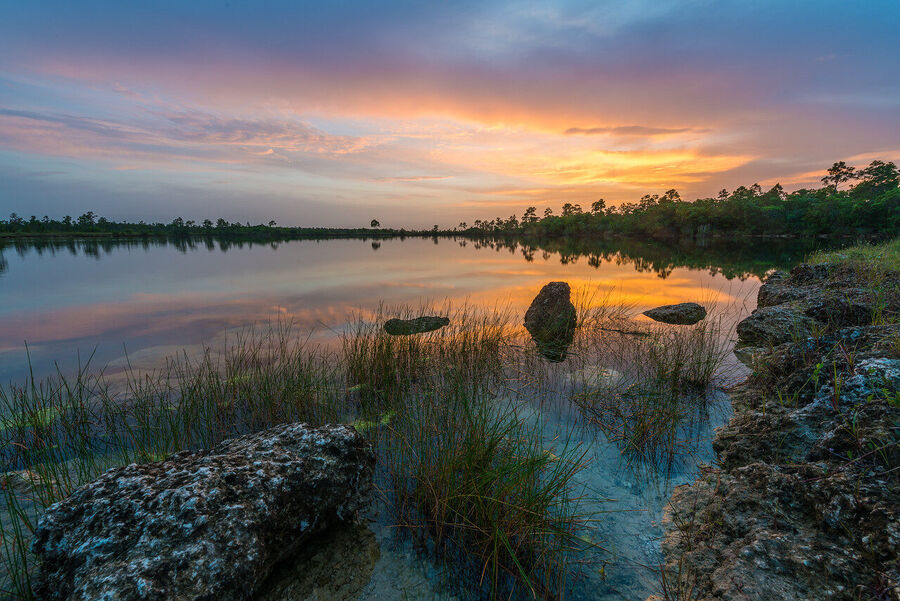Fine art landscape photograph of Everglades saw grass prairie stretching to the horizon under a towering cumulus sky at pre-dawn