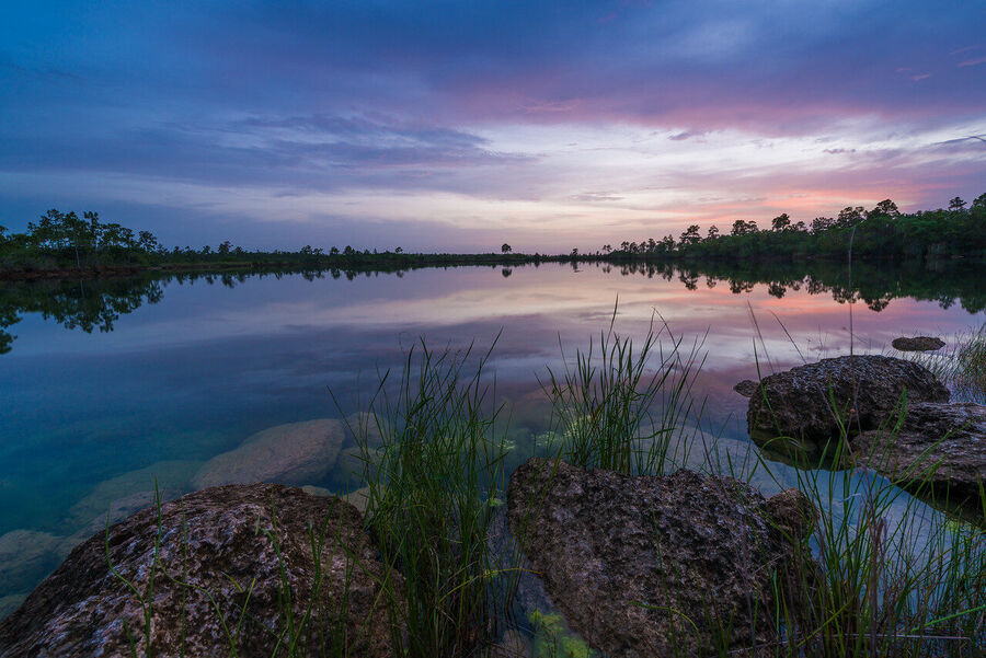 Dramatic fine art landscape photograph of an Everglades summer thunderstorm, lightning visible on the horizon at golden hour
