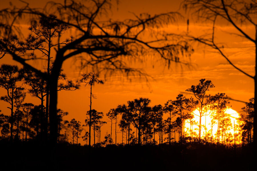 Atmospheric fine art photography print, shot at the decisive moment of perfect light — available for immediate purchase