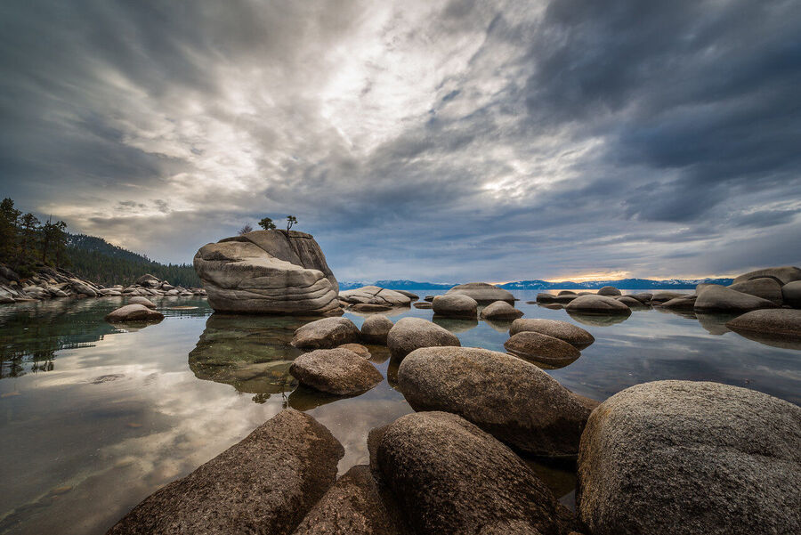 Fine art print of Bonsai Rock at nautical twilight, the small windswept tree silhouetted against a deep indigo sky filled with alpenglow
