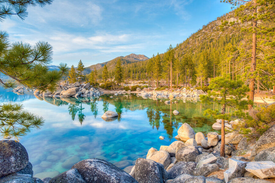 Fine art print of Bonsai Rock at nautical twilight, the small windswept tree silhouetted against a deep indigo sky filled with alpenglow