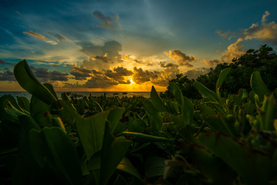 Fine art seascape print of the Gulf of Mexico at Naples at dusk, cumulus clouds building offshore as the last light saturates the horizon